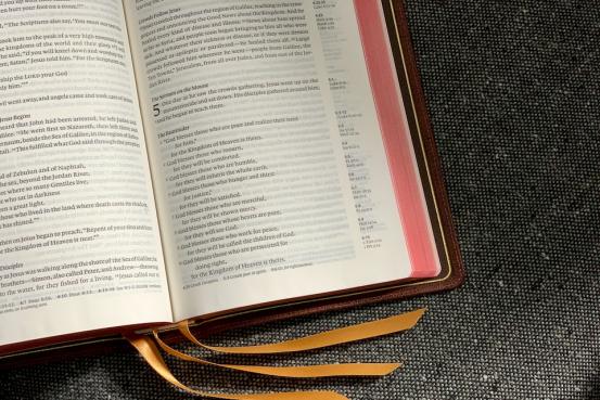 翻译机未来的前景如何,翻译机实用吗