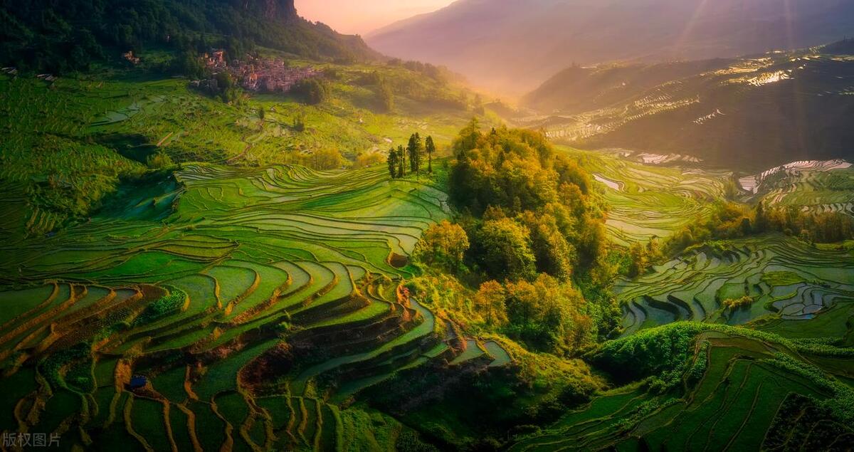 低血压的补气补血药方,低血压的补气补血方