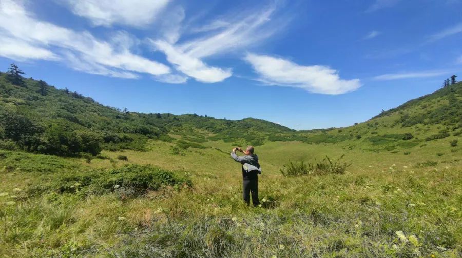 【上级媒体赞佛坪】秦岭“花伴侣”