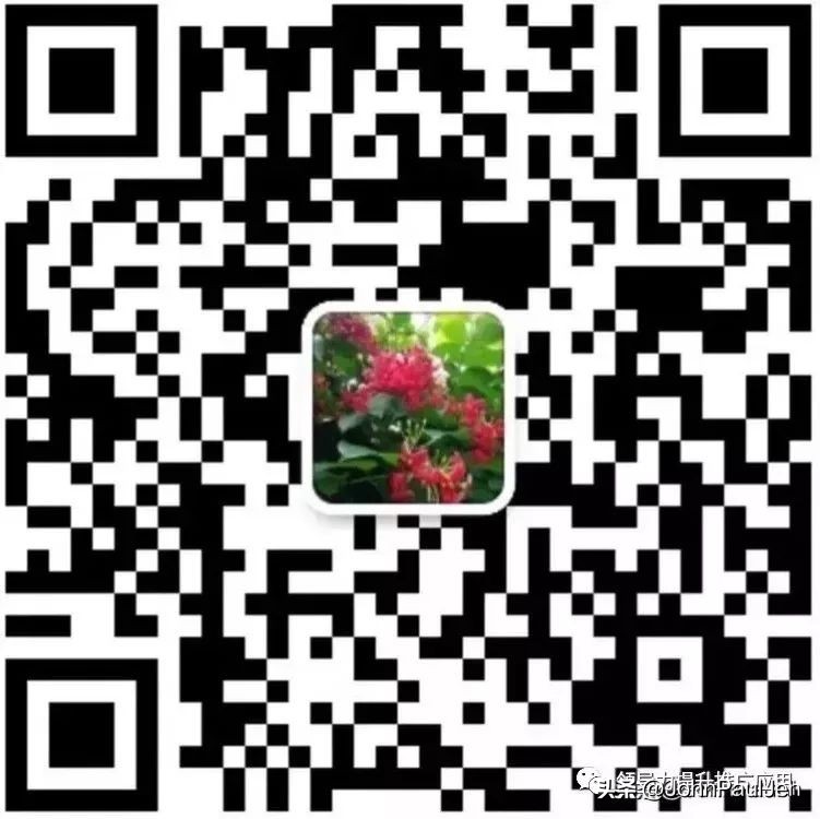 创业项目宝典,开店创业宝典视频课