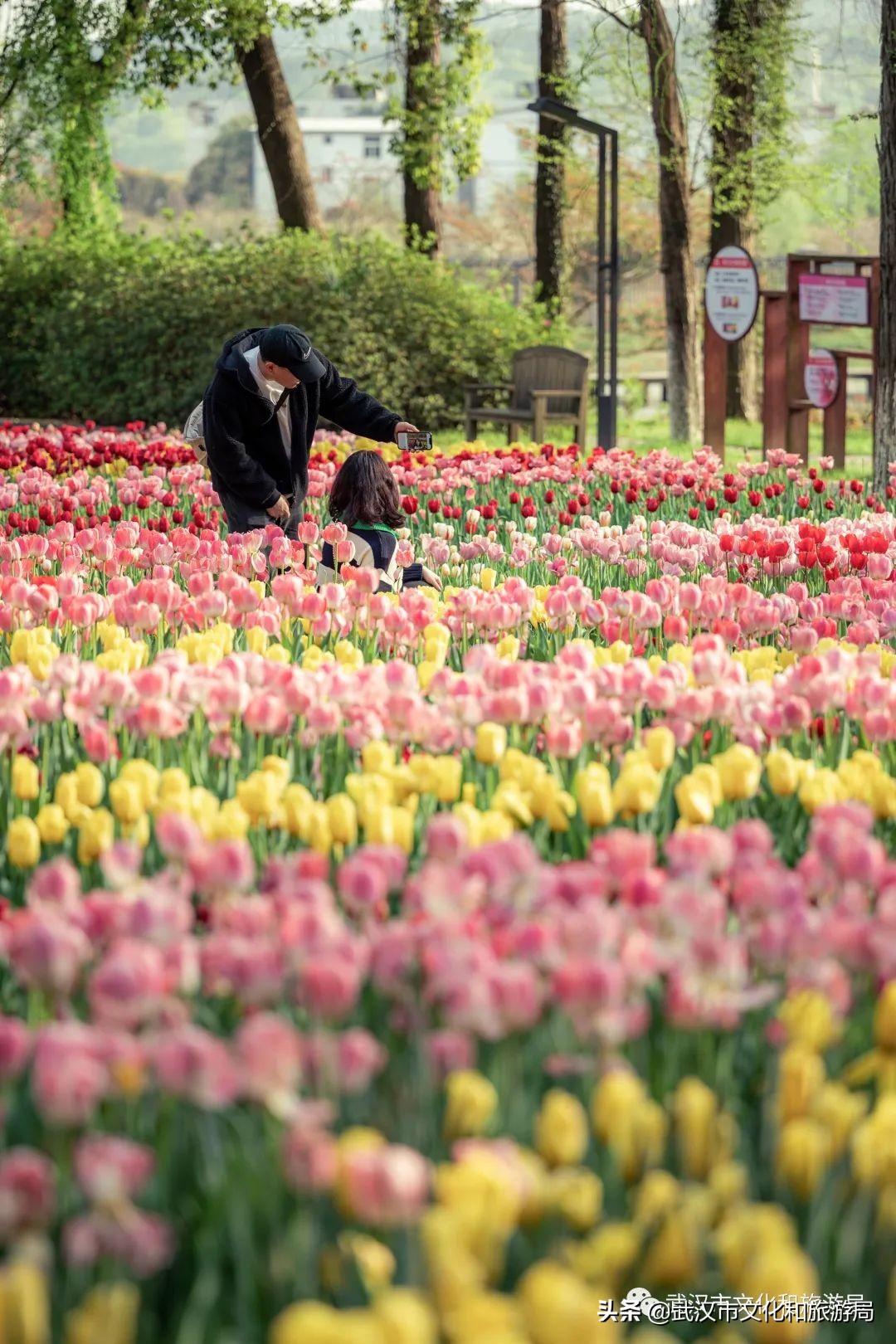 不出武汉旅游推荐,五一不出武汉三日游适合去哪里