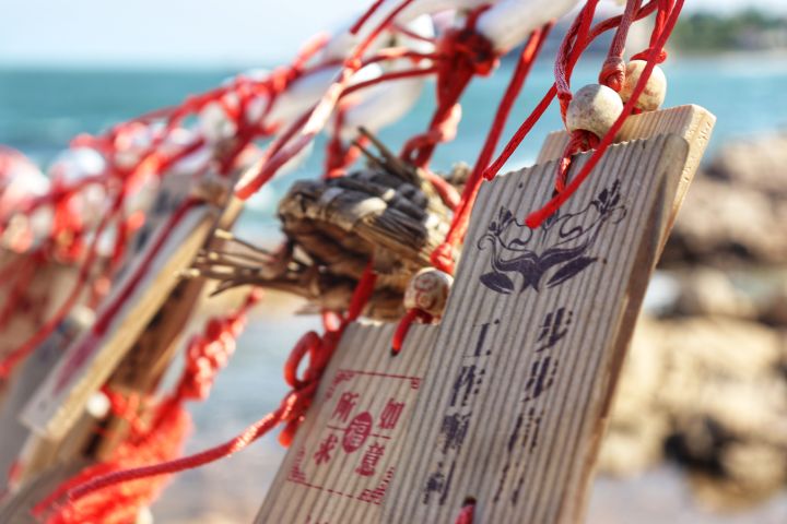 哪几种三脚架不好用,三脚架独脚架如何选择