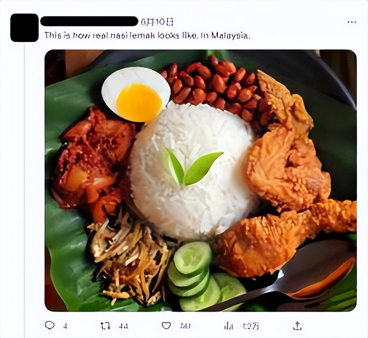 新加坡与马来西亚椰浆饭,新加坡kovan椰浆饭