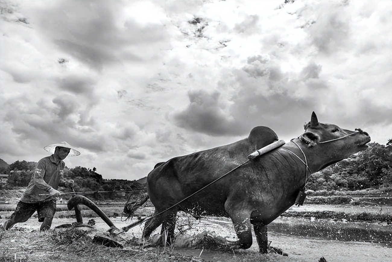 一部手机卖99元，坚持20年不倒闭的荣秀丽，是如何生存至今的