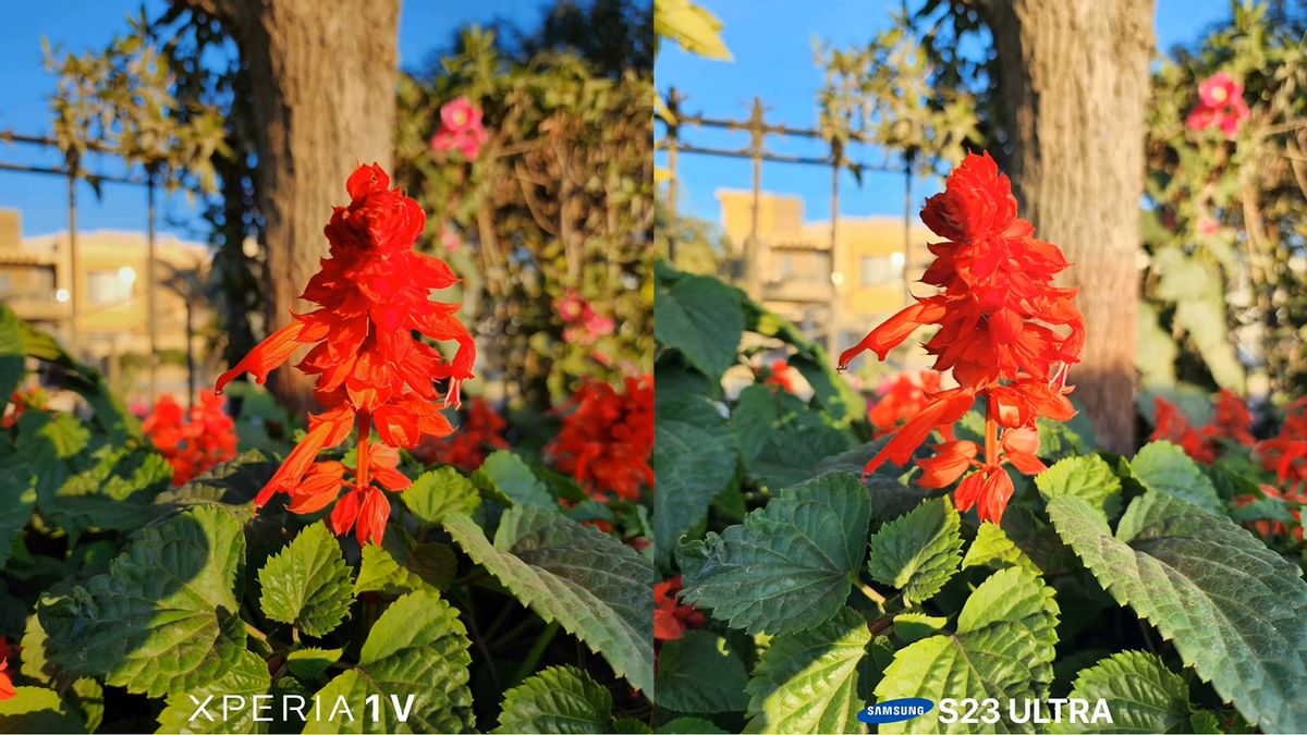 8999元的索尼XPERIA1V拍照表现如何？搭载最强CMOS，追平三星旗舰