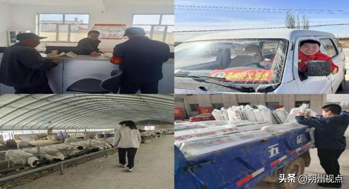 平鲁区向阳堡乡：“六个一”活动搭好到村工作大学生成长成才舞台