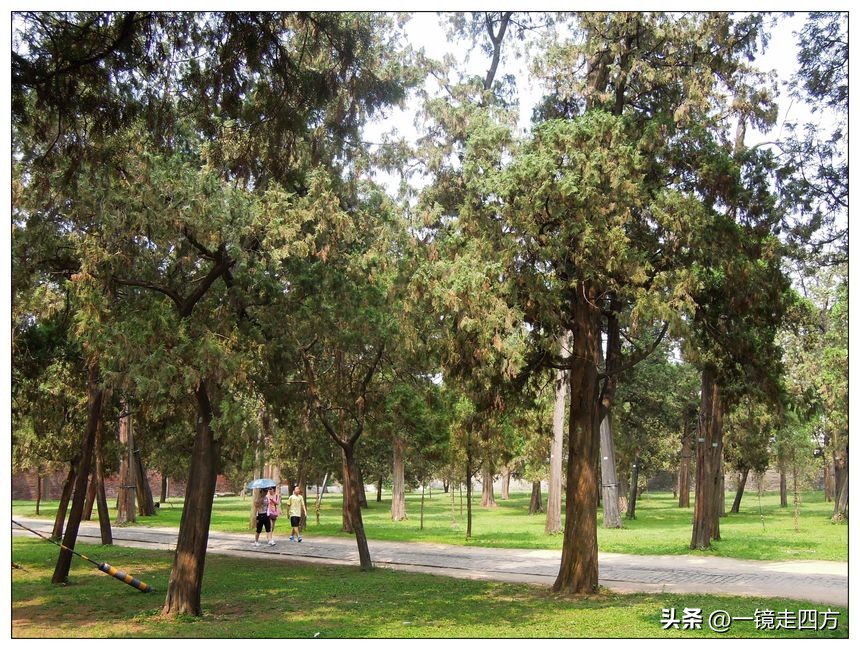 曲阜孔子故居简介,曲阜孔子庙建筑图片