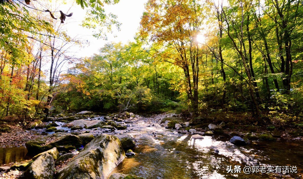 什么是五行五行如何相生相克,阳五行与阴五行的相生相克