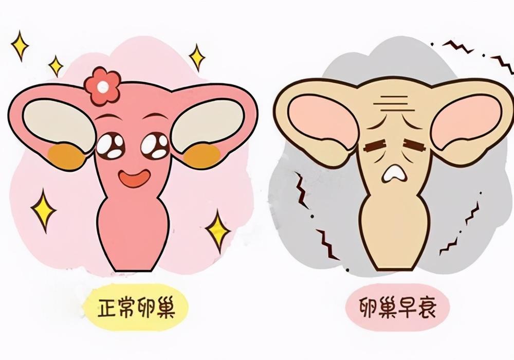 21岁女大学生贪慕虚荣，靠卖卵赚钱，医生怒斥：你随时可能会死