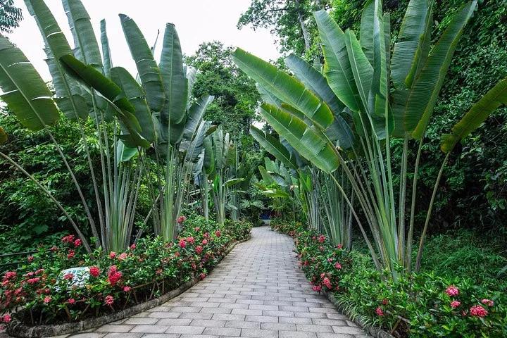 云南西双版纳旅游攻略app,云南西双版纳旅游攻略自由行12月