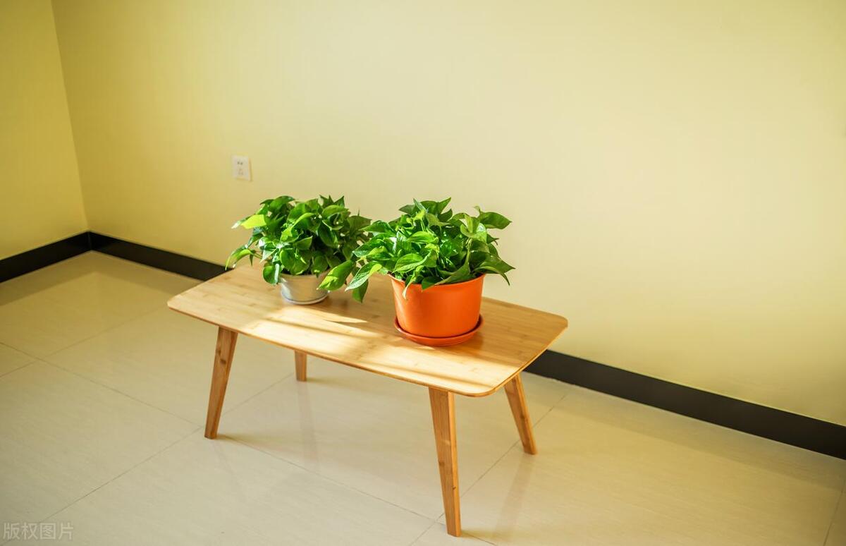 新房除甲醛最好最快的方法小妙招,新房除甲醛是关窗闷好还是通风好