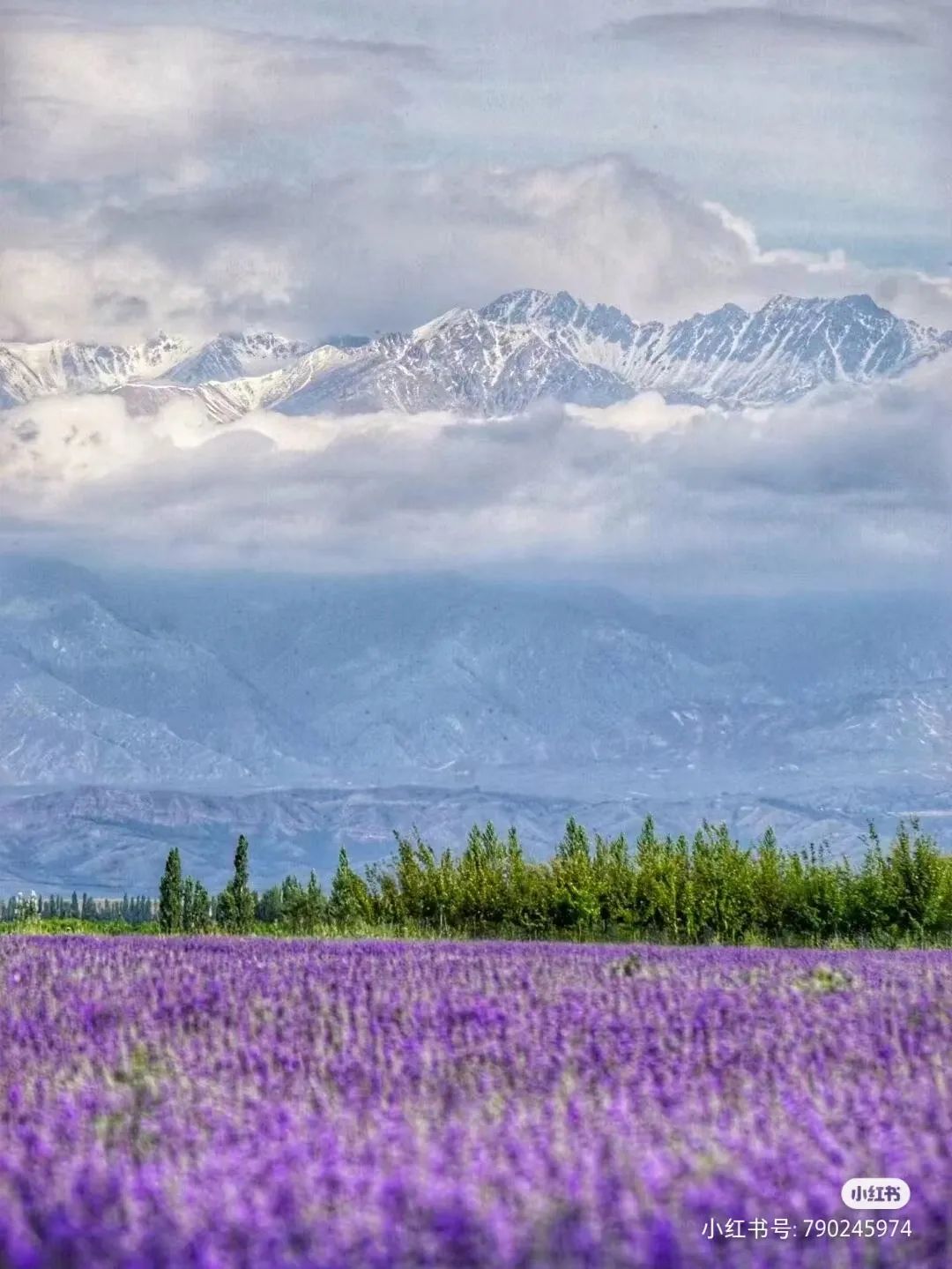 *疆新**多姿多彩的民宿，总有一款适合你！