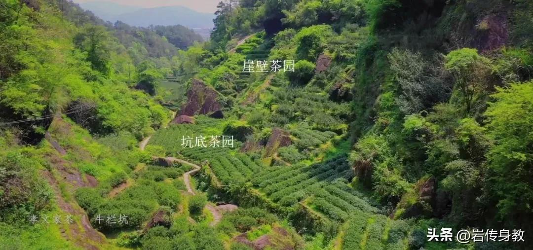 武夷山牛栏坑肉的独有的口感,武夷山的牛栏坑到底有多大