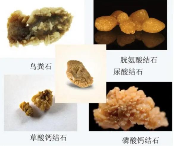 狗狗尿路结石中医治疗,狗狗尿路结石的治疗药