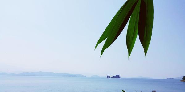 万绿湖旅游体验,万绿湖八大秘境