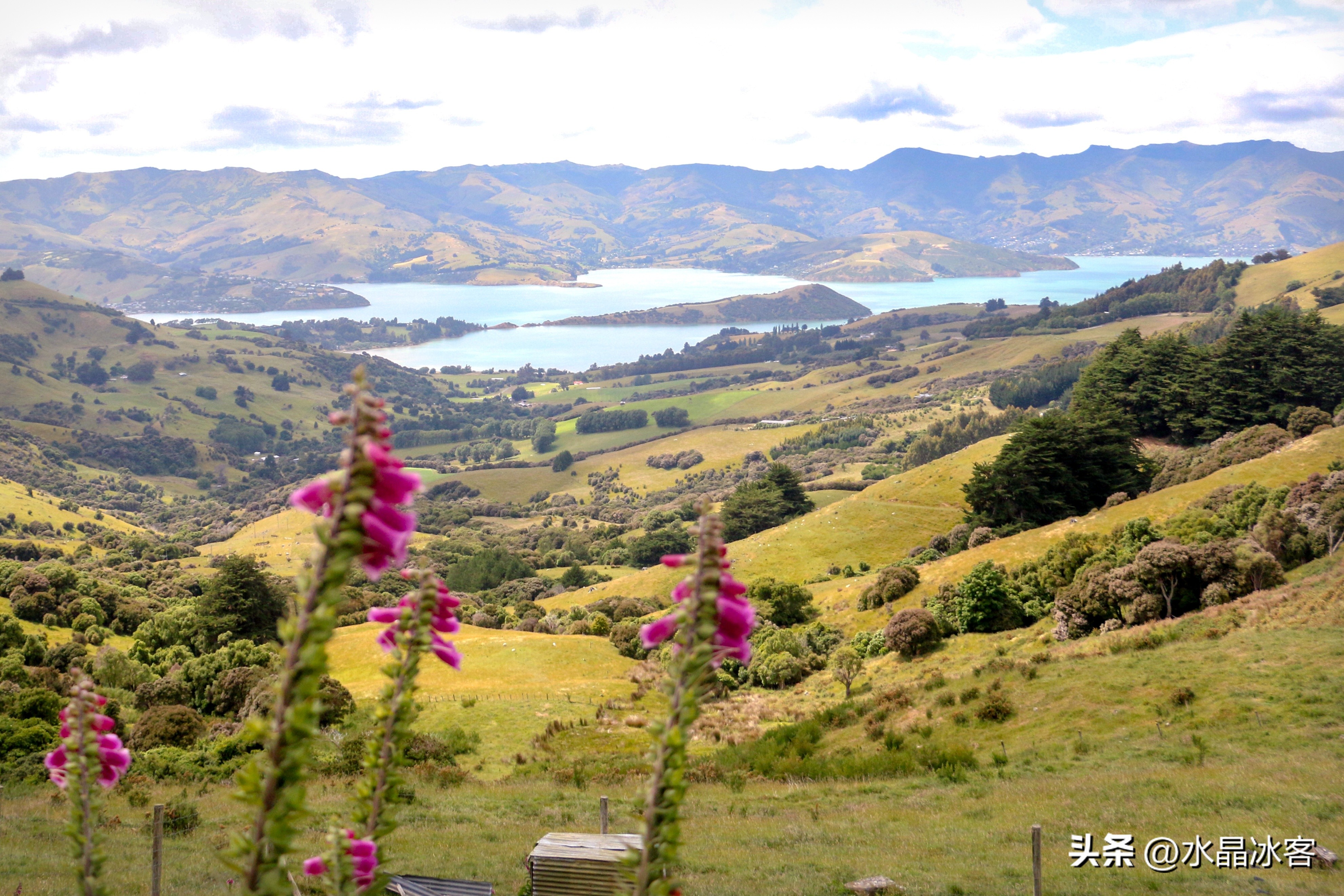 南岛新西兰之旅,新西兰之南岛