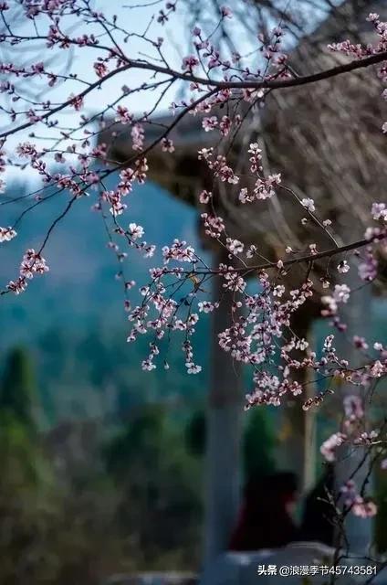最美人间四月天散文,最美人间四月天的散文