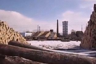 东北，这个职业正在消失！|地球知识局