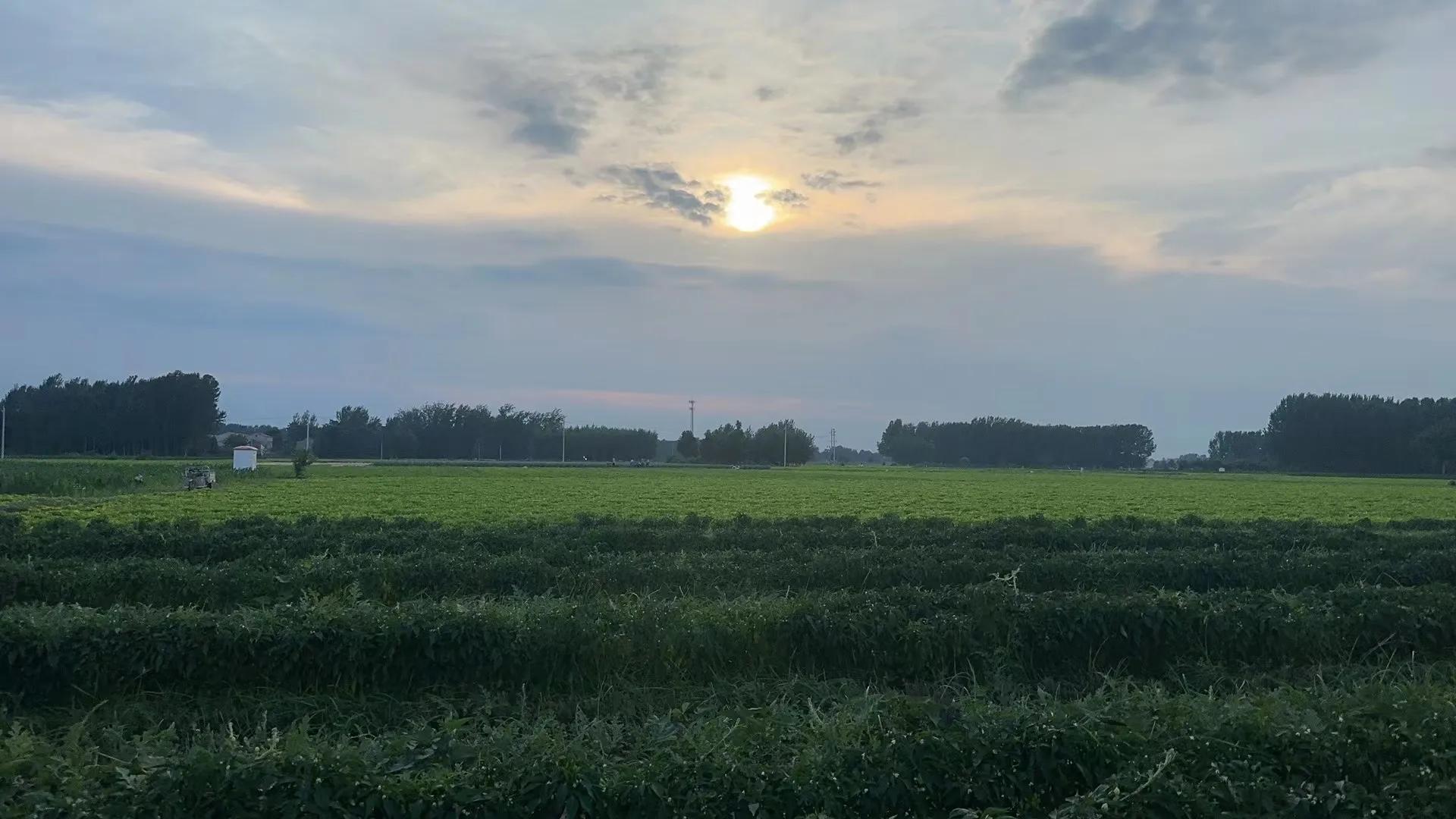 田园风光的古诗,田园风光纯音乐