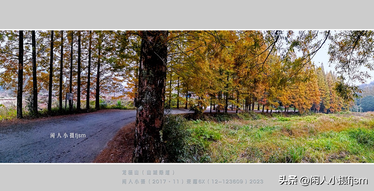 手机摄影构图技巧全解,玩转手机摄影一学就会的构图技巧