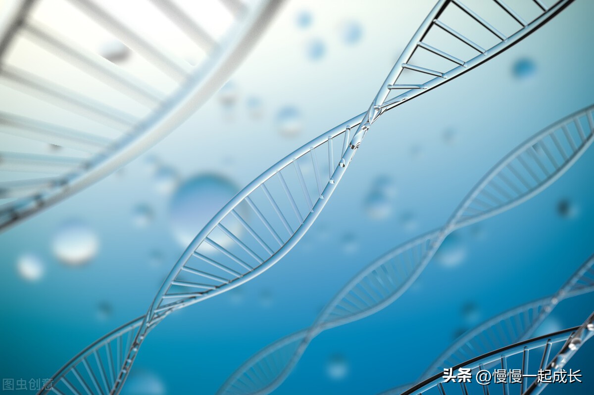 细菌是怎么维持生命的,细菌到底是怎么来的