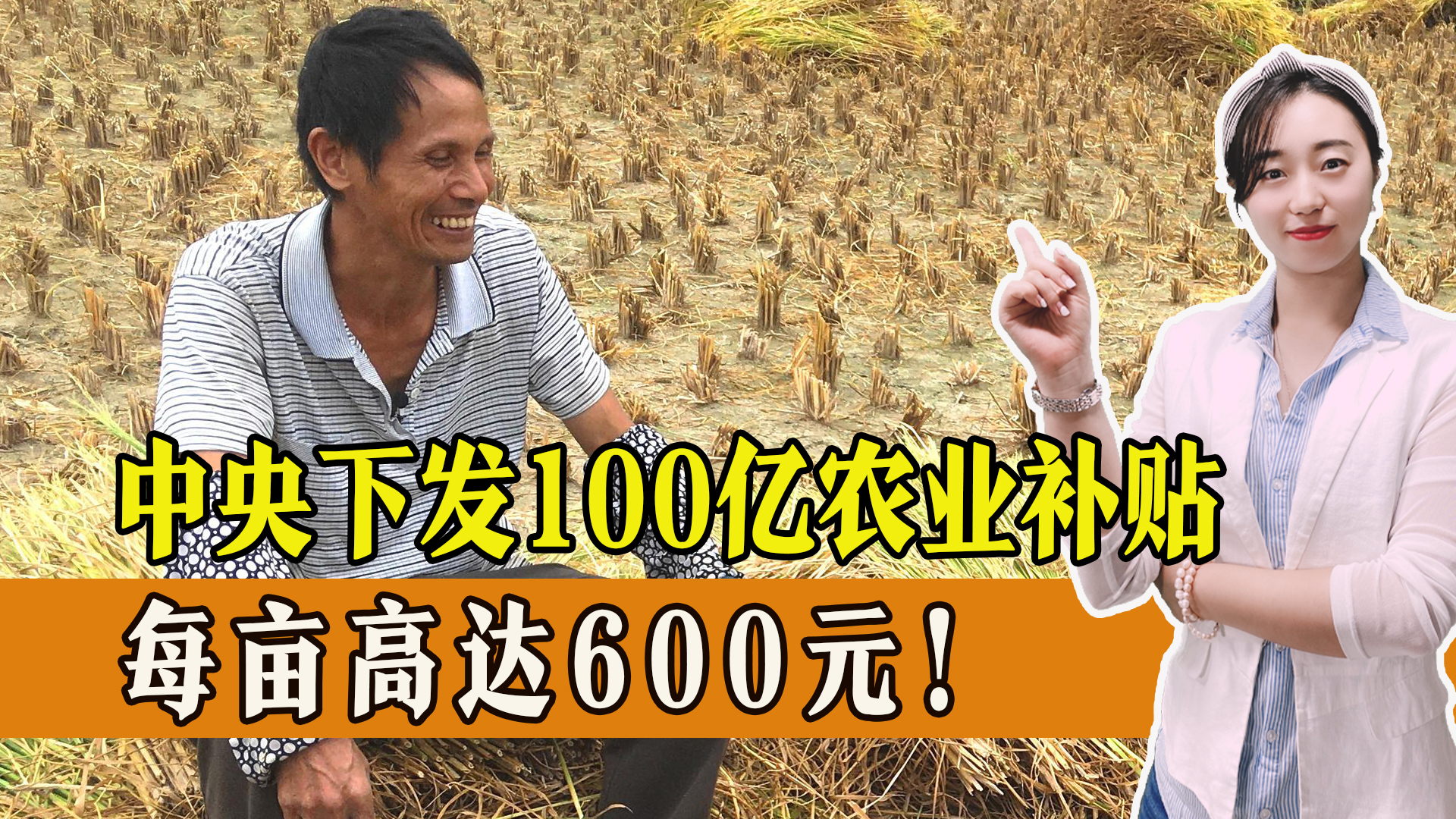 新疆中央每亩补600的文件,农业补助每亩多少钱