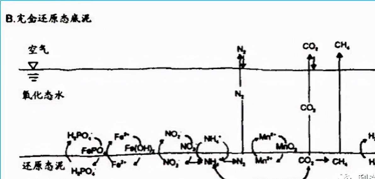 硫化氢泄漏时如何应急处理,硫化氢产生的原因及处理措施