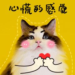 关于女性健康的资料,女人健康的镜子