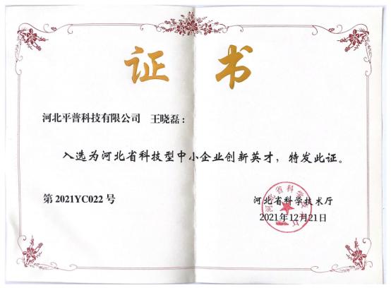 河北平普科技有限公司王晓磊简历,平普科技王晓磊