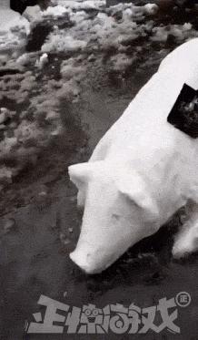 女朋友的房间里找到的工具,她说是手电筒,真以为我不懂吗?