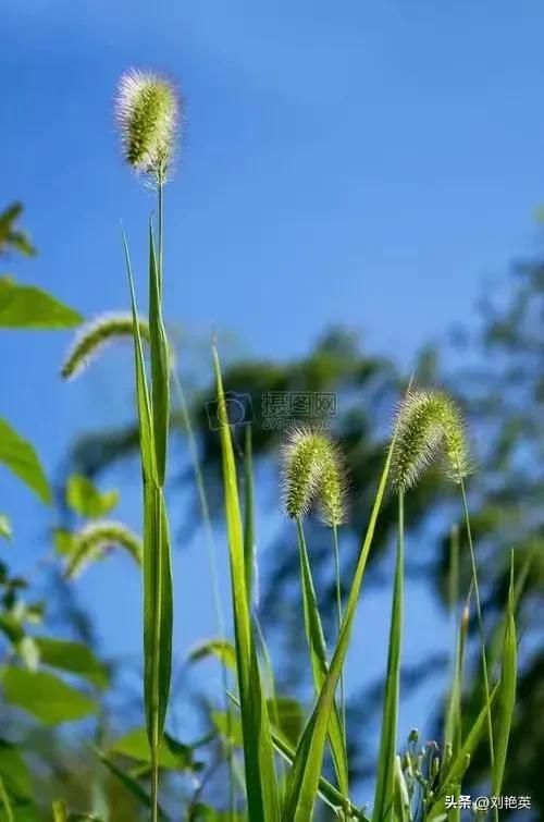 过去年代的老师,过去的老师和现在的老师