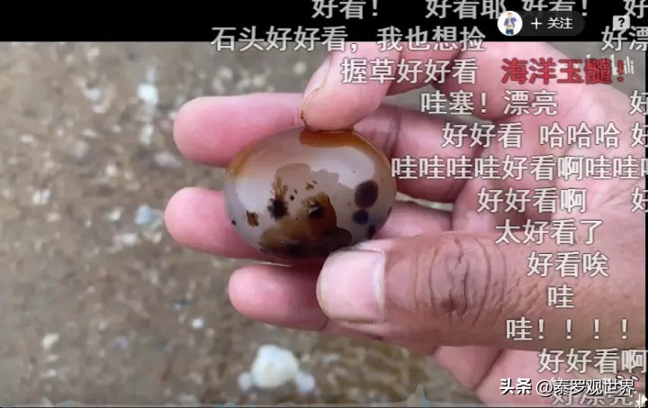 一天挖2000斤海肠？狂赚十几万？无视劝阻赶海，有人因此死亡