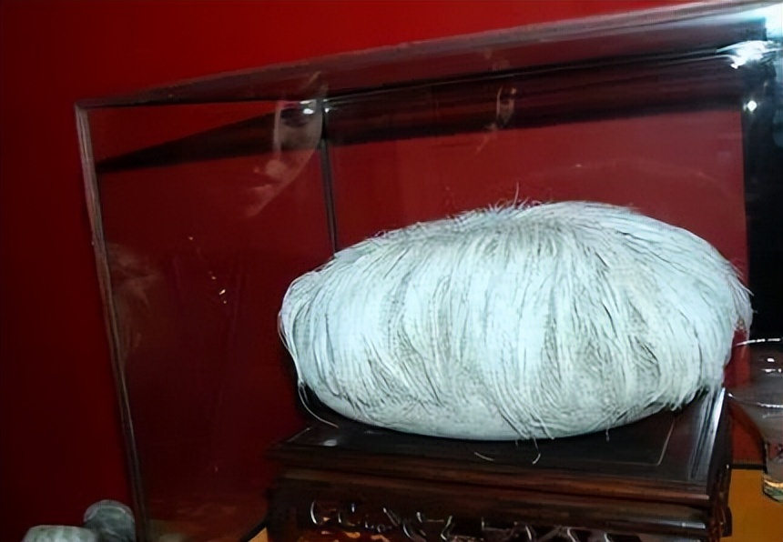 奇石长满白发的石头,1997年小伙花150元买石头专家鉴定