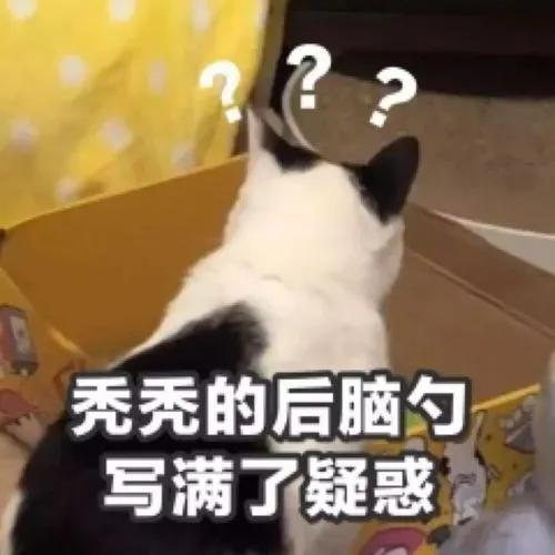 新人如何快速上千粉,怎样加入新人百粉互动计划