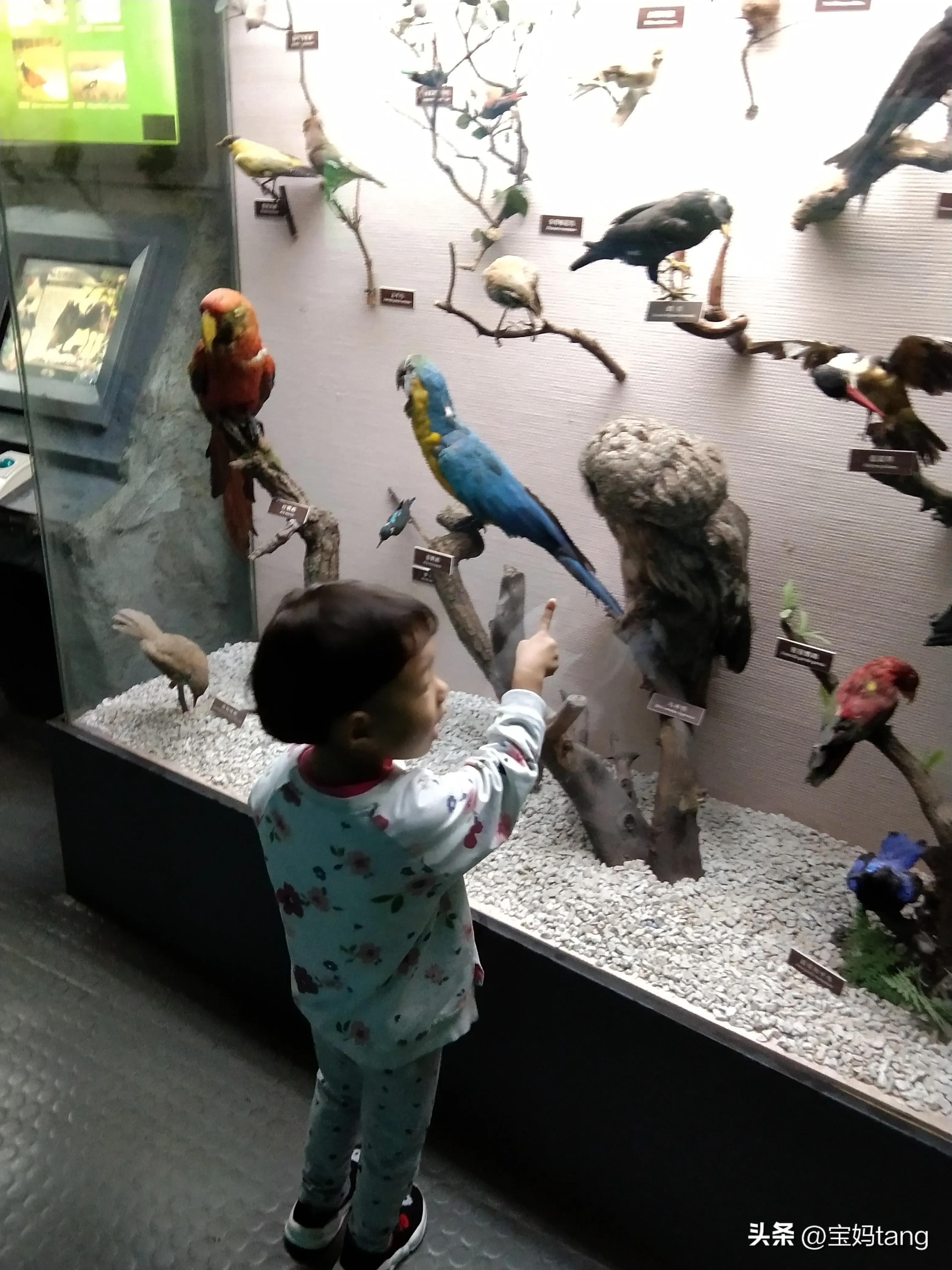 上海科技馆游玩全攻略,上海科技馆儿童馆攻略