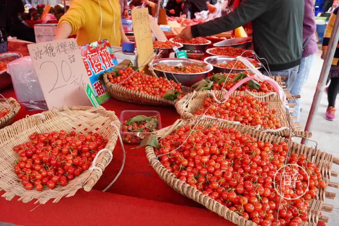 成都这个市场只开半天还放高温假，地图上找不到