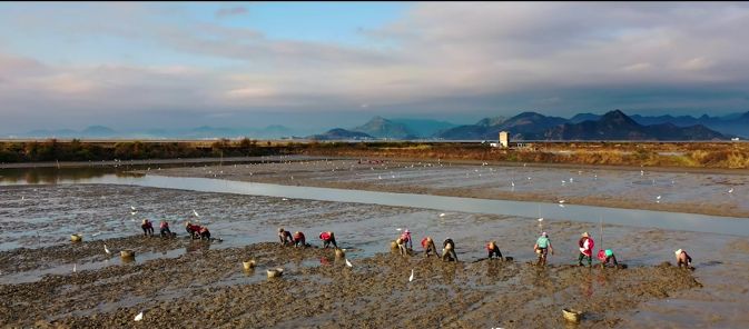 为什么乐清东西那么贵,为什么叫乐清这个名字