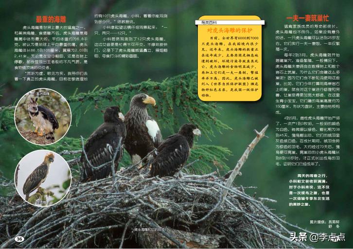 挖到宝了不用钱就能get到儿童好物,挖到小孩的宝藏