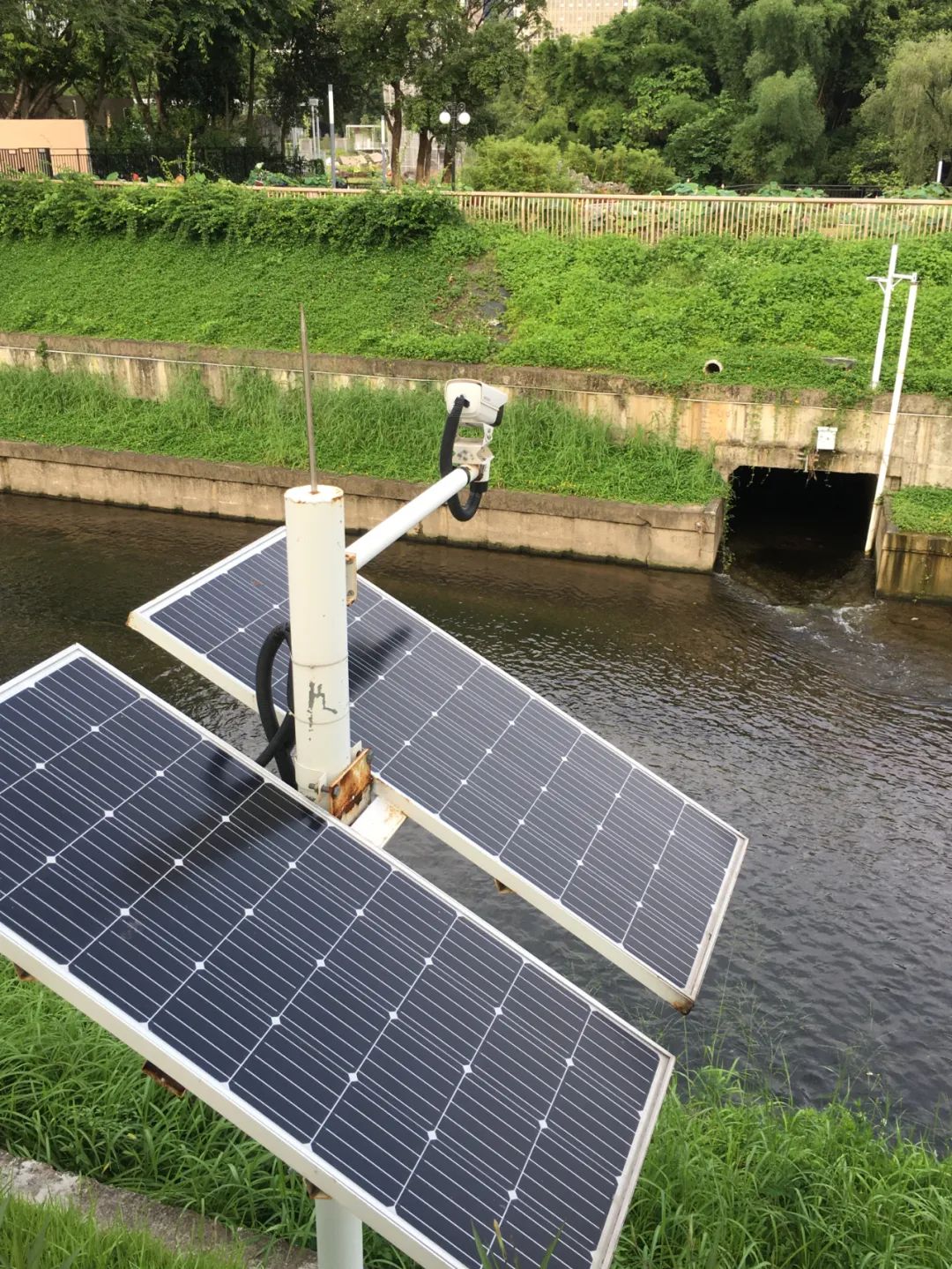 《旭光骑行深圳》第35站——罗湖区笋岗街道