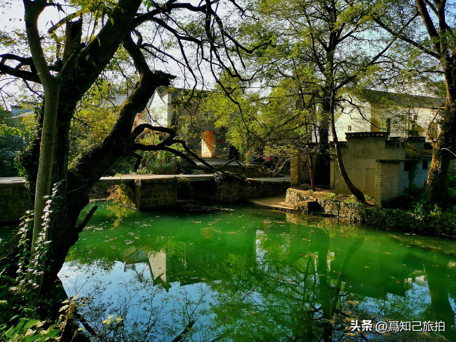 李白汪伦桃花潭水深千尺,李白赠汪伦诗中的桃花潭在何处