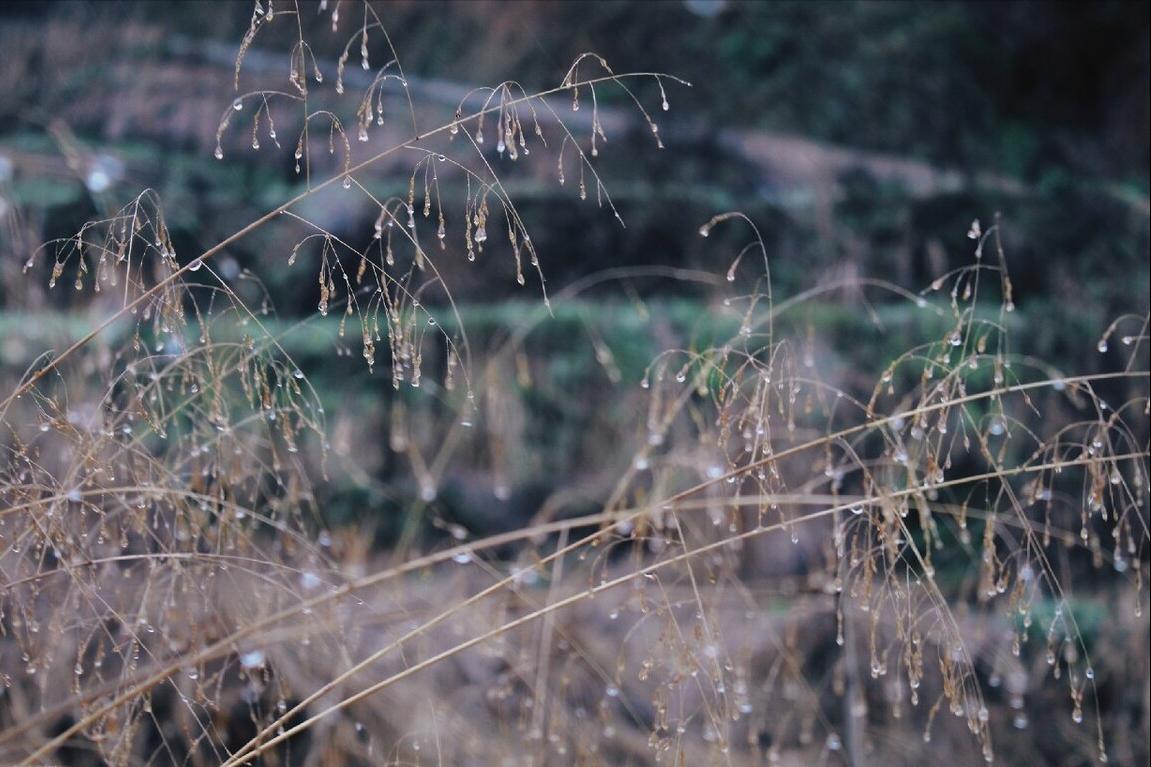 李商隐的夜雨寄北写于何年,李商隐的夜雨寄北表达什么