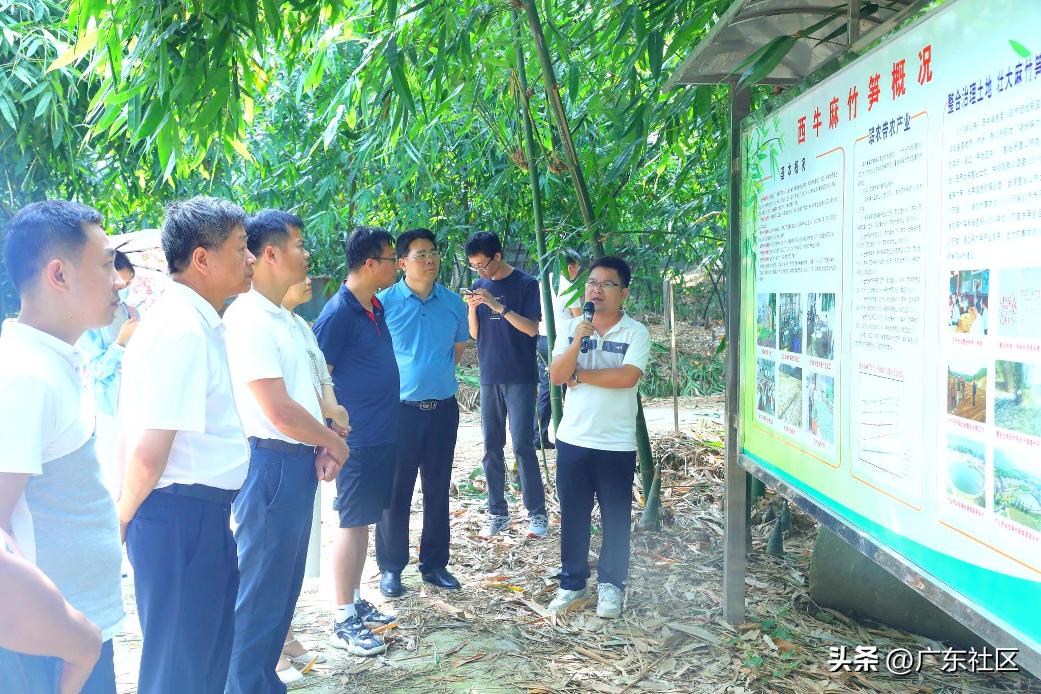走进乡村看发展系列报道,乡村特色产业发展布局及主要成效