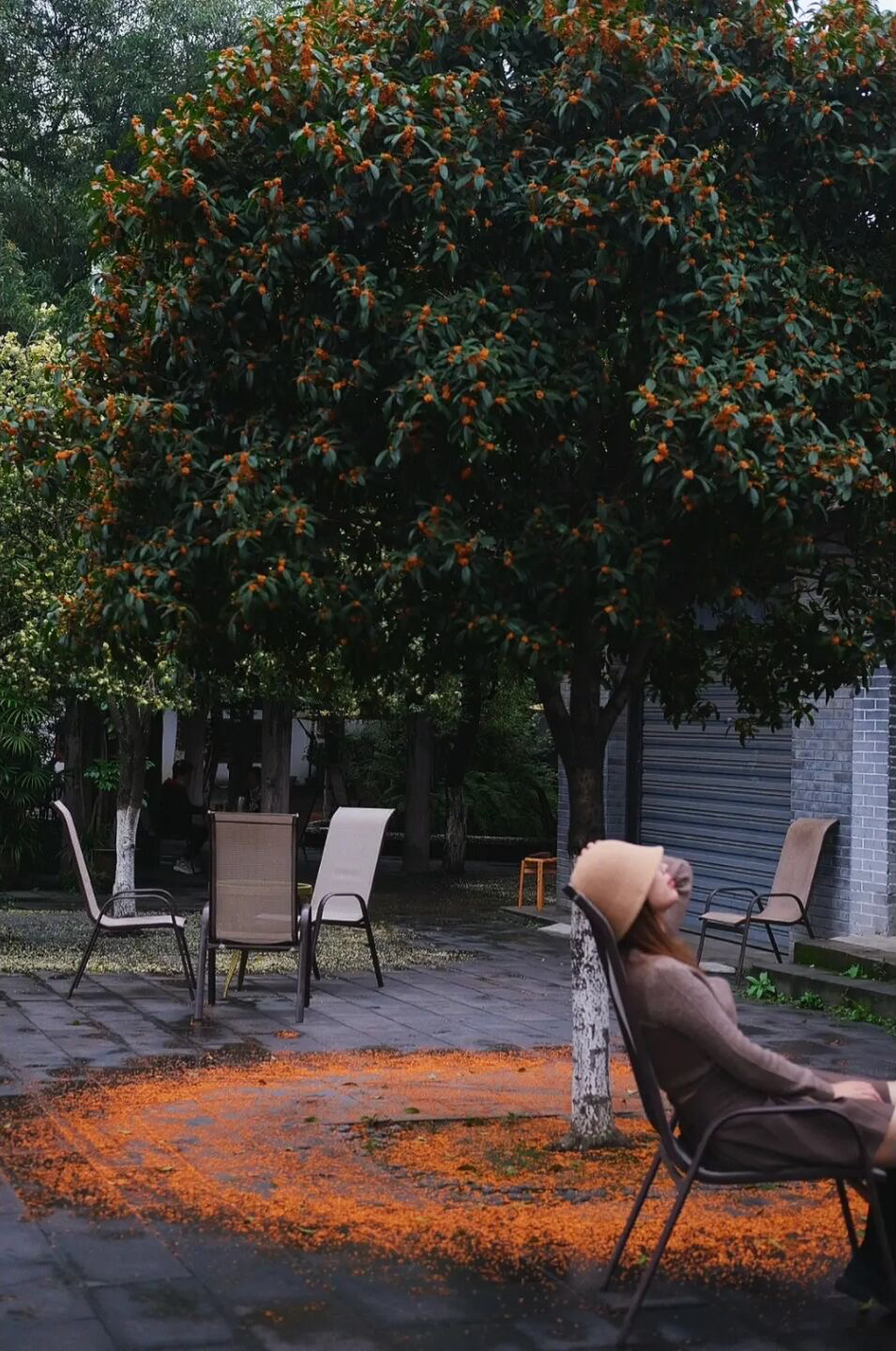 放假去哪里玩又便宜又好玩成都,假期去哪玩便宜又好玩儿成都