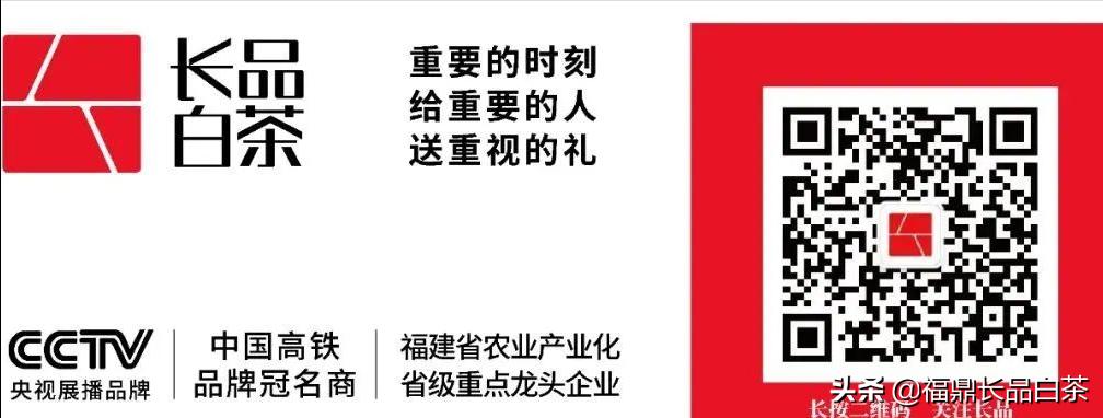 春茶正浓当酣饮,春茶尝鲜正当时