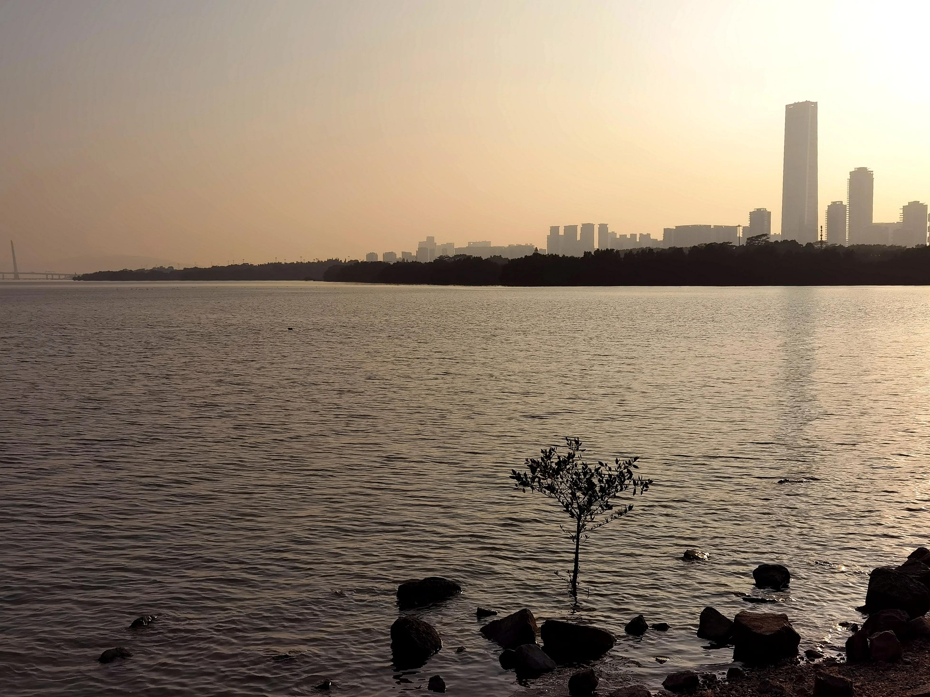 当一个人被人骗了该怎么办,当一个人被欺骗多次就没有信任了