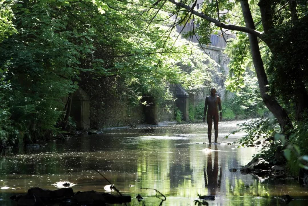 最高级的素质,顶级身体形态