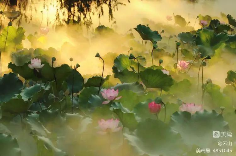 画意风光,画意风光摄影