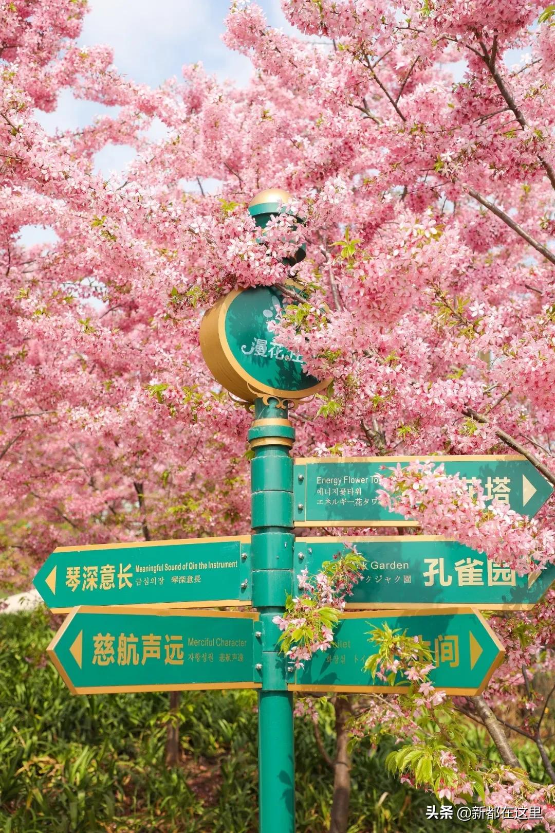 邂逅成都的100个生活细节,邂逅成都的一百个细节