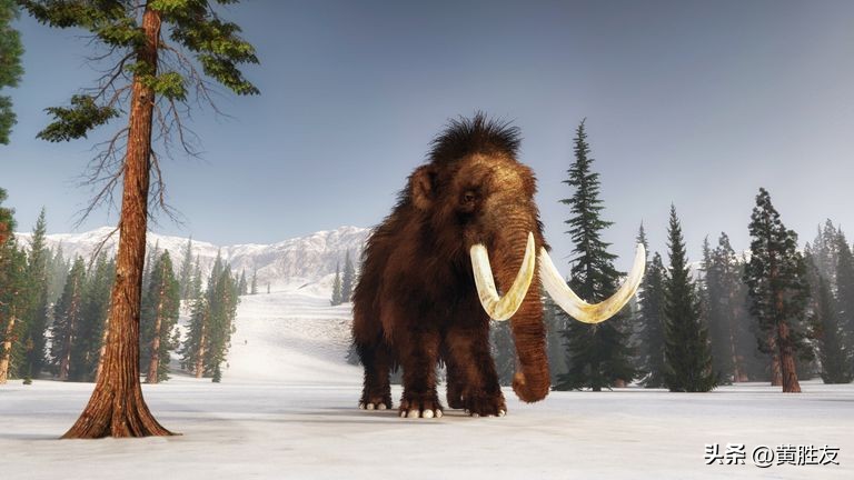 猛犸象制成肉丸,已灭绝猛犸象dna被培育制成肉丸