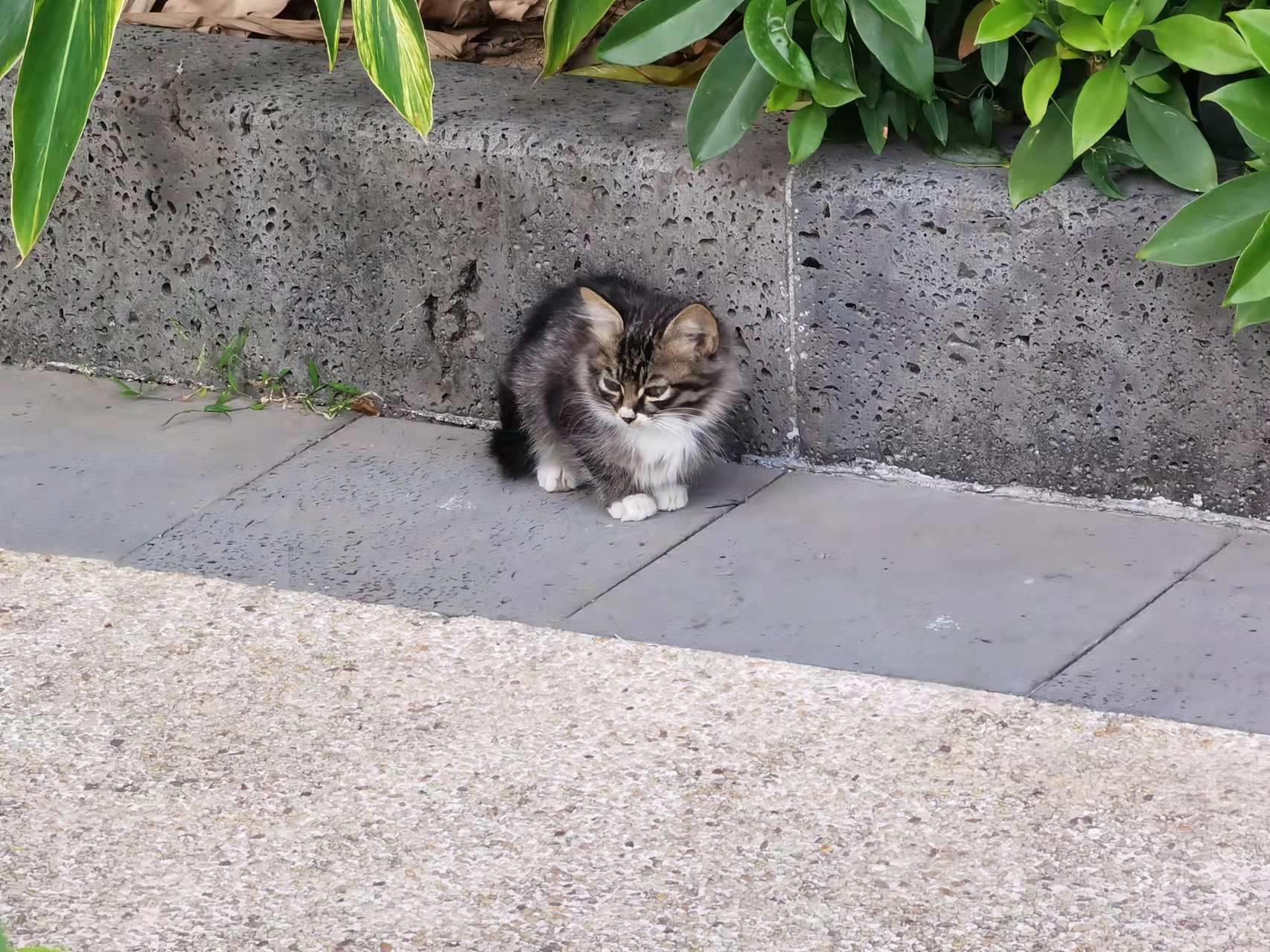 应激性心理障碍中医治疗,应激性心理创伤怎么脱敏